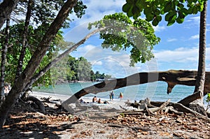 Beach at Manuel Antonio National Park, Costa Rica photo