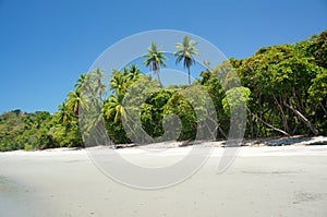 Beach in Manuel Antonio photo