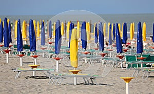 beach with many closed umbrellas with no one on the deck chairs