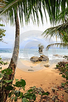 Beach in Manzanillo Costa Rica