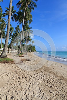 Beach in Maragogi, Alagoas - Brazil