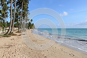 Beach in Maragogi, Alagoas - Brazil photo