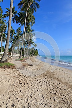 Beach in Maragogi, Alagoas - Brazil photo