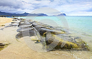 Beach of mauritius island