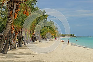 Beach in Mauritius