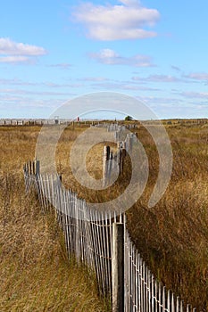 Beach meadow dune fence