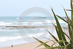 Beach Milady in Biarritz