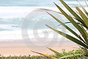Beach Milady in Biarritz