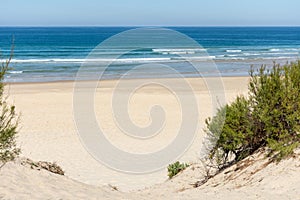 The beach of Mimizan, France photo