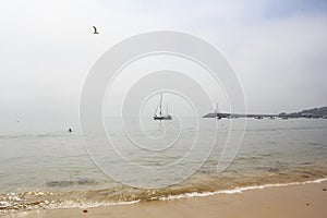 Beach in a misty day