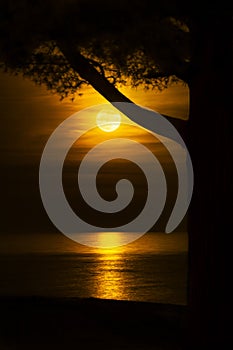 Beach moonlight reflecting over water