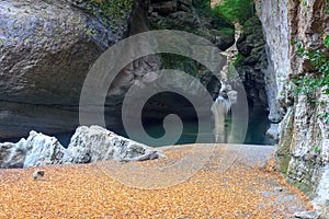 Beach of the mountain river covered with fallen yellow autumn leaves