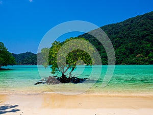 Beach in Mu Koh Surin or Surin Island, Thailand