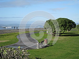 Beach in Napier