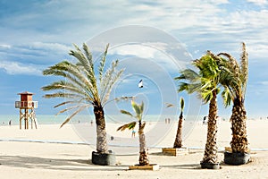 Beach in Narbonne Plage