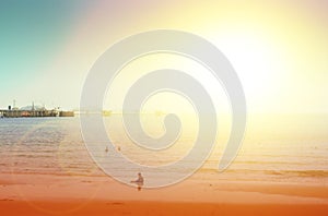 Beach natural background blur warm colors and bright sun light s