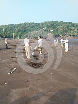 A beach near guhagar clean mission swachh Bharat