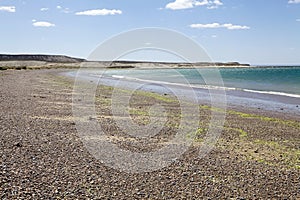 Beach near Puerto Madryn, a city in Chubut Province, Patagonia, Argentina photo