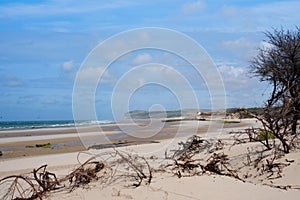 Beach near Wissant at the north of France in summer photo