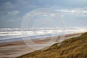 Beach in the Netherlands