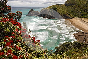 Beach on New Zealand coast