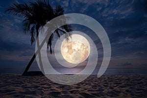 Beach in night sky, full moon