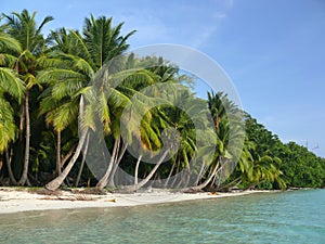 Beach no. 5, Havelock Island, Andaman Islands, Ind