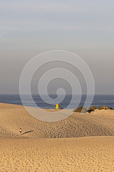 A beach in north of Fuerteventura