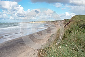 Beach at the North Sea coast with dunes near Norre Vorupor in Jutland, Denmark