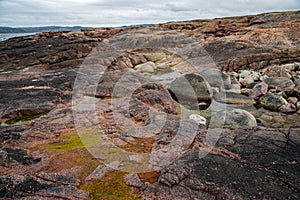 Beach on the northern ocean is made of stones covered with colorful moss. Teriberka, Barents Sea, Murmansk region, Kola Peninsula