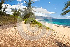 Beach at northshore oahu honululu hawaii