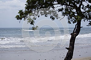 Beach Nosara in Guanacaste Costa Rica photo