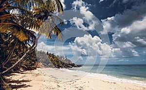 Beach and ocean, Dominican Republic