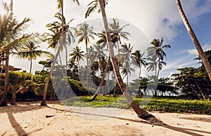 Beach and ocean, Dominican Republic