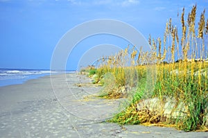 Footprints on Hilton Head Island Beach photo