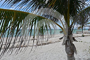 Beach and ocean panoramic Mexico