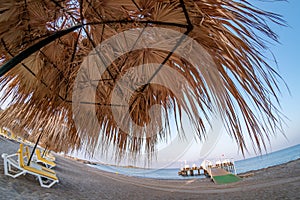 Beach ocean summer and palm tree with umbrella. island sea