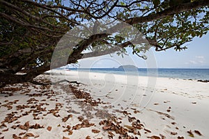 Tropicana beach scene photo