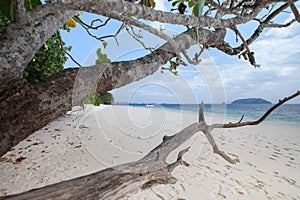 Tropicana beach in Thailand photo