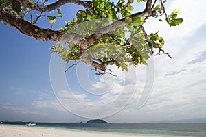 Tropicana resort beach scene photo