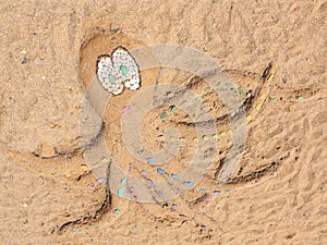 Beach Octopus on Sand Background - Stock Photo