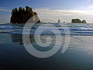 Beach, Olympic National Park