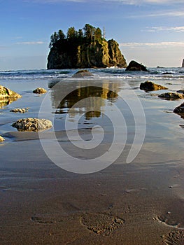 Beach, Olympic National Park