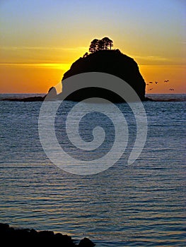 Beach, Olympic National Park