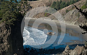 Beach on the Oregon Coastline