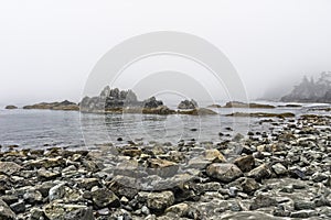 Beach on Pacific Ocean Coast morning and fog Vancouver Island Canada.