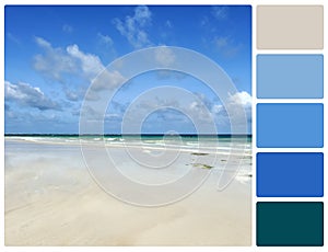 Beach with palette color swatches