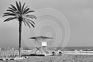 Beach with palm and lifeguard tower by the sea