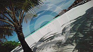 Beach with palm tree casting dense shadow on white sand