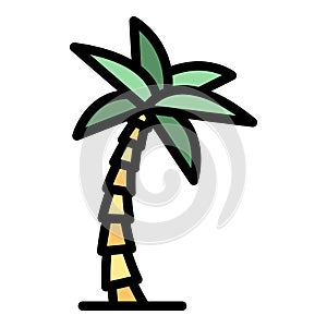 Beach palm tree icon color outline vector